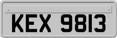 KEX9813