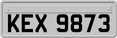 KEX9873