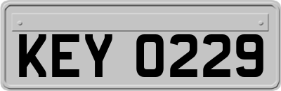 KEY0229