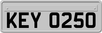 KEY0250