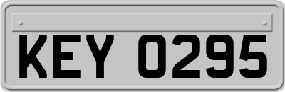 KEY0295
