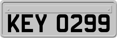 KEY0299