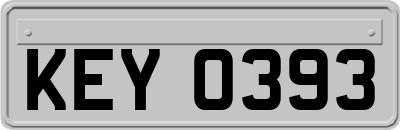 KEY0393