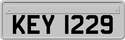 KEY1229