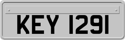 KEY1291
