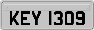 KEY1309