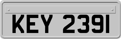 KEY2391