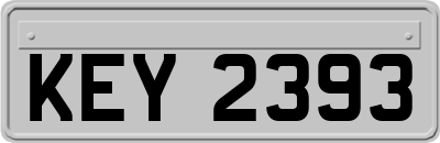 KEY2393