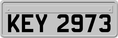KEY2973