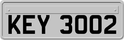 KEY3002