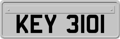 KEY3101