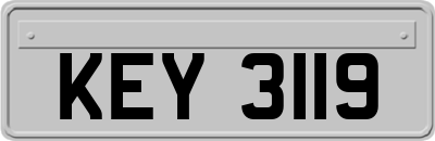 KEY3119