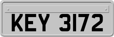 KEY3172