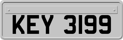 KEY3199