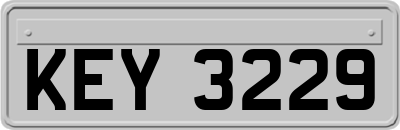 KEY3229