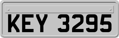 KEY3295