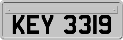 KEY3319