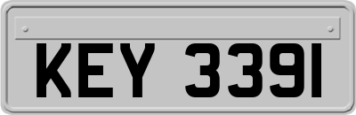 KEY3391