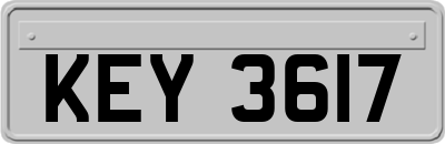 KEY3617
