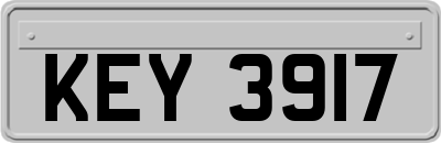 KEY3917