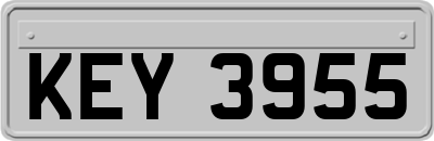 KEY3955