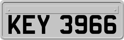 KEY3966