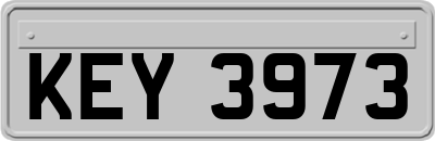 KEY3973