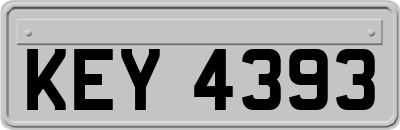 KEY4393