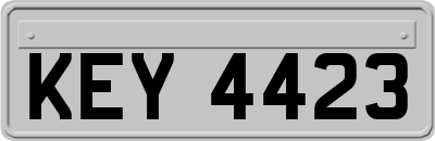 KEY4423