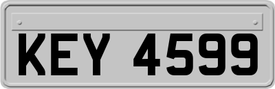 KEY4599