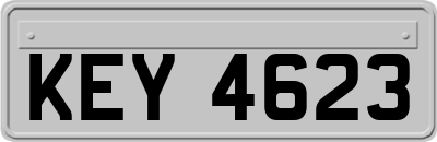 KEY4623