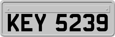 KEY5239