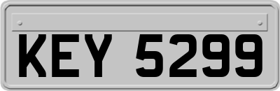 KEY5299