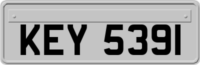 KEY5391
