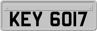 KEY6017