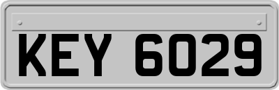 KEY6029