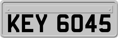 KEY6045