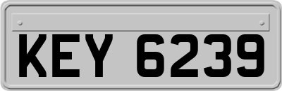 KEY6239
