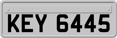 KEY6445
