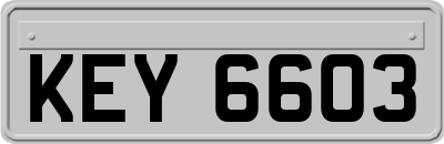 KEY6603