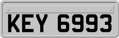 KEY6993