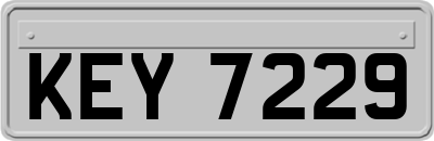 KEY7229