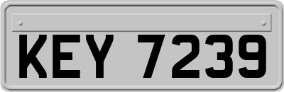 KEY7239