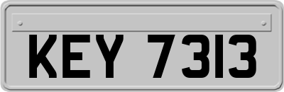 KEY7313