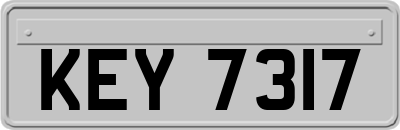 KEY7317