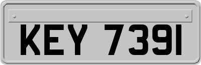KEY7391