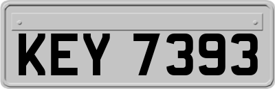 KEY7393