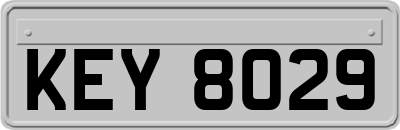 KEY8029