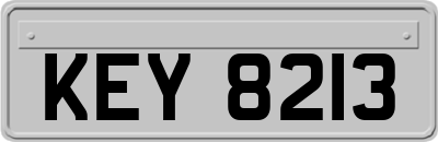 KEY8213