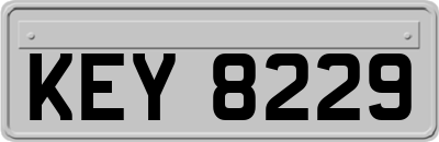 KEY8229
